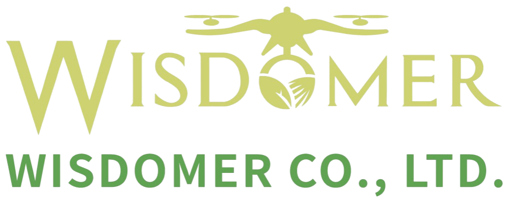 wisdomer.com